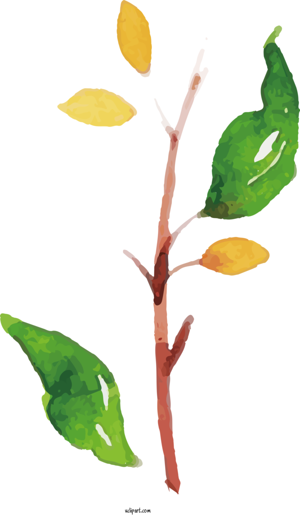 Free Nature Plant Stem Leaf Flowerpot For Leaf Clipart Transparent Background