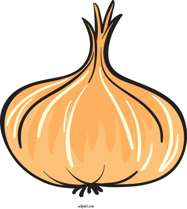 Free Food Onion Royalty Free Drawing For Vegetable Clipart Transparent Background