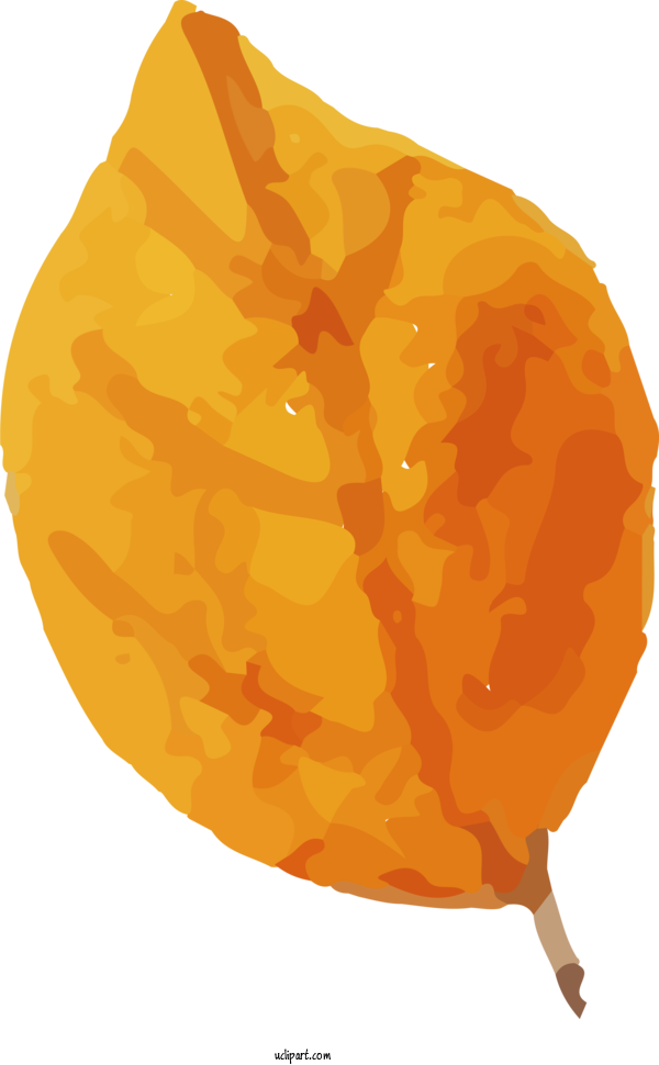 Free Nature Pumpkin Calabaza Winter Squash For Leaf Clipart Transparent Background