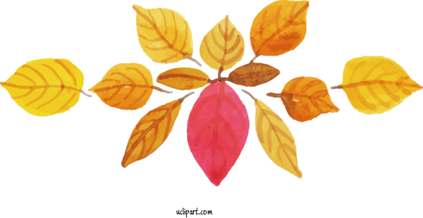 Free Nature Petal Multicolor Leaves Leaf For Leaf Clipart Transparent Background