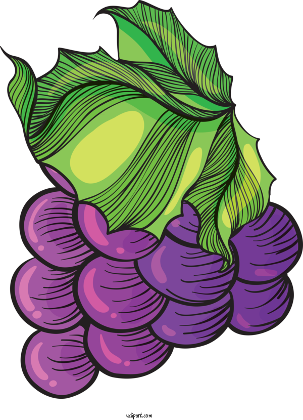 Free Food Plant Stem Leaf Purple For Vegetable Clipart Transparent Background