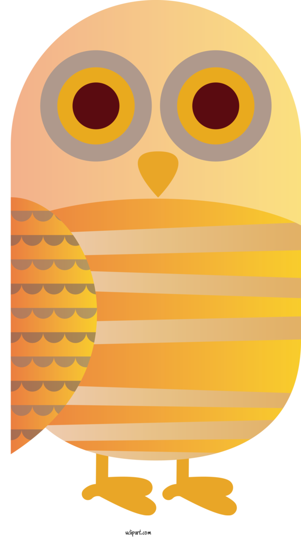 Free Animals Owls Birds Beak For Bird Clipart Transparent Background