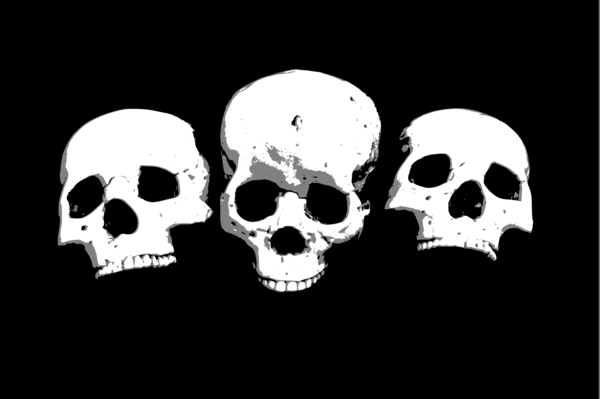 Free Sweater Bone Skull Black And White Clipart Clipart Transparent Background