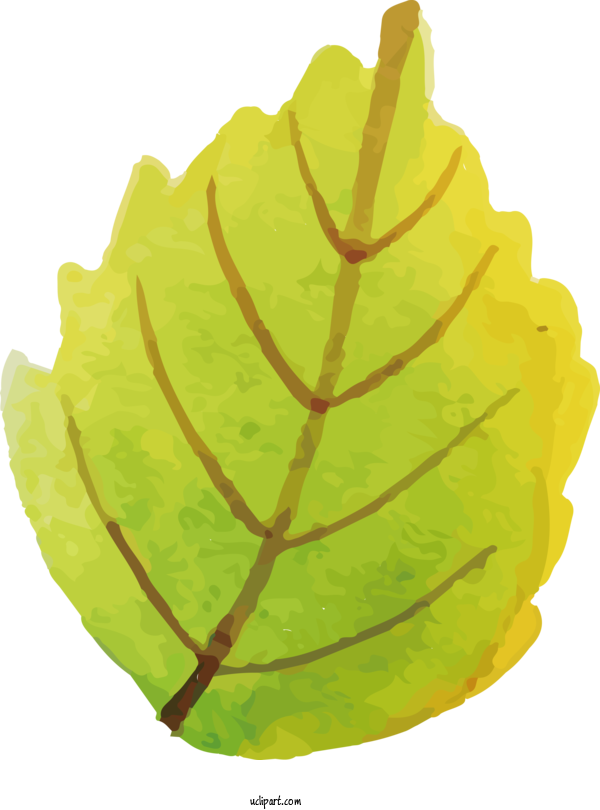 Free Nature Plant Stem Leaf Tree For Leaf Clipart Transparent Background