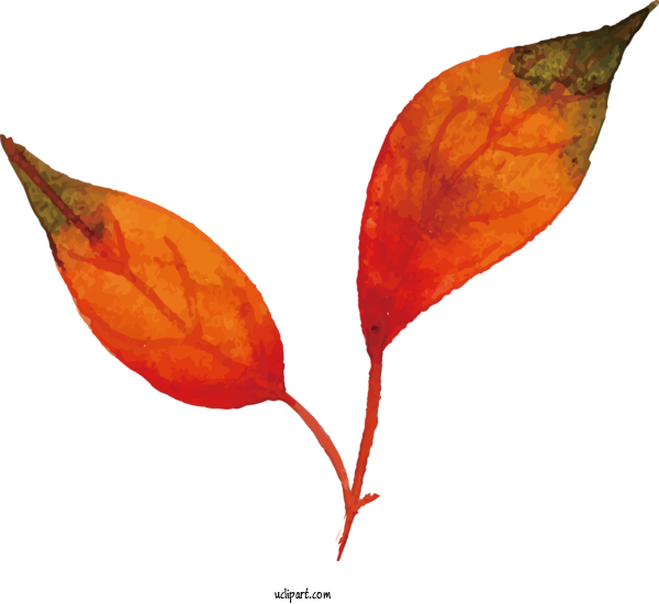 Free Nature Leaf Plant Stem Petal For Leaf Clipart Transparent Background