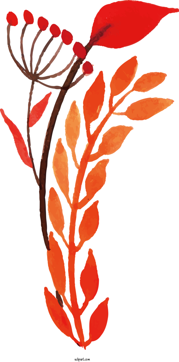 Free Nature Floral Design Leaf Plant Stem For Leaf Clipart Transparent Background