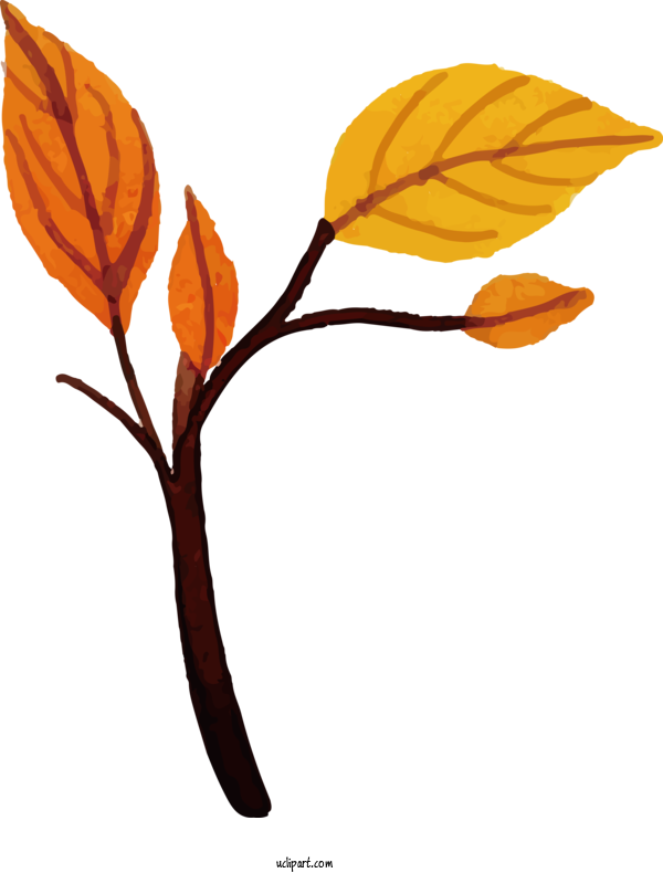 Free Nature Plant Stem Twig Leaf For Leaf Clipart Transparent Background