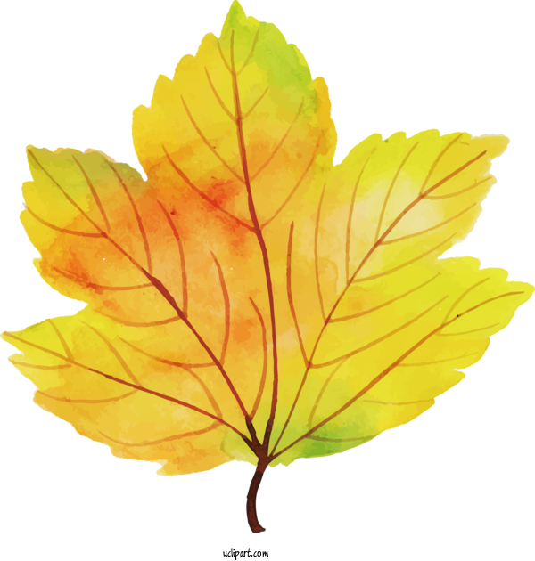 Free Nature Maple Leaf Leaf Maple For Leaf Clipart Transparent Background