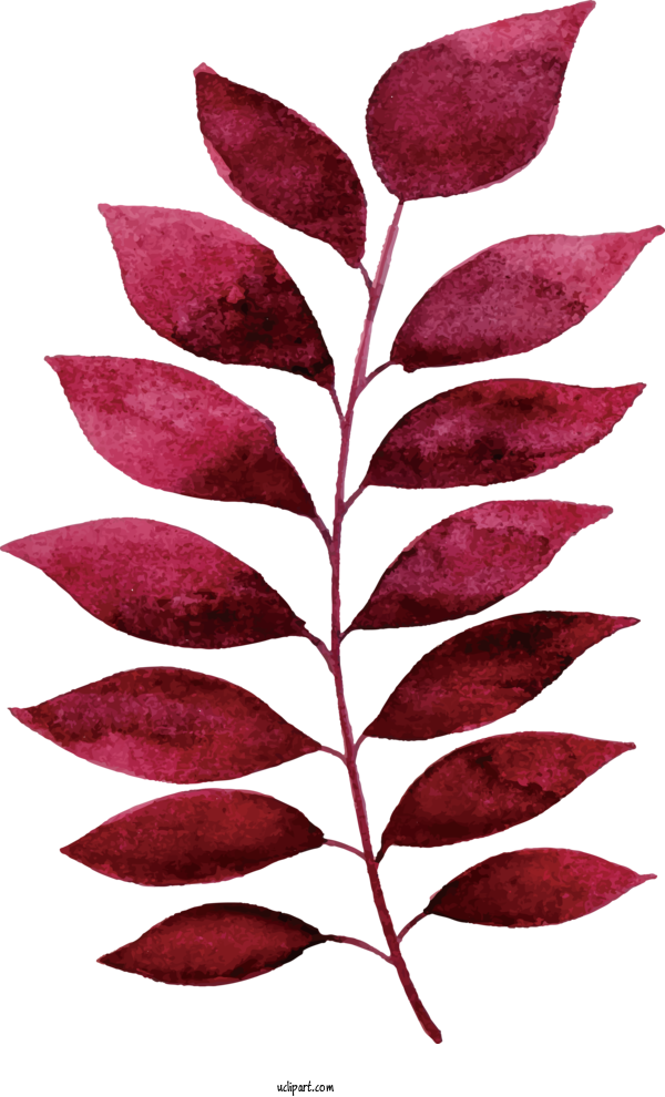 Free Nature Leaf Watercolor Painting Plant Stem For Leaf Clipart Transparent Background