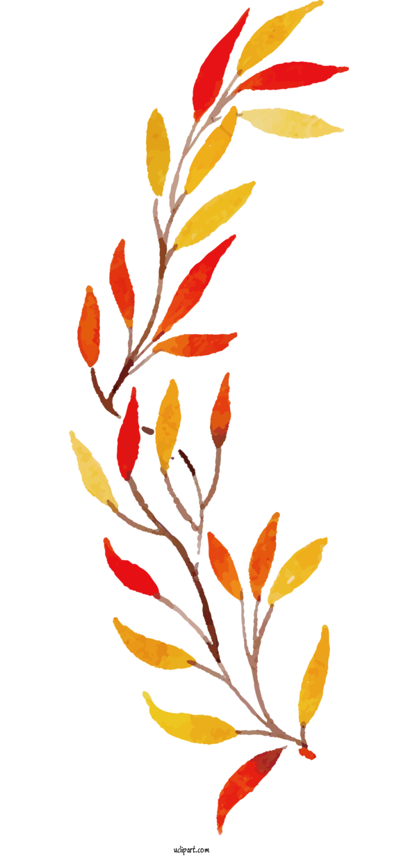 Free Nature Twig Plant Stem Floral Design For Leaf Clipart Transparent Background