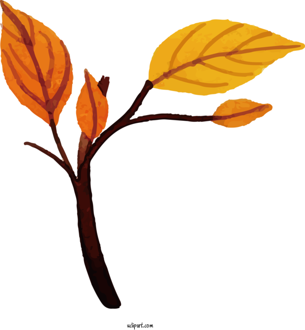 Free Nature Plant Stem Twig Leaf For Leaf Clipart Transparent Background