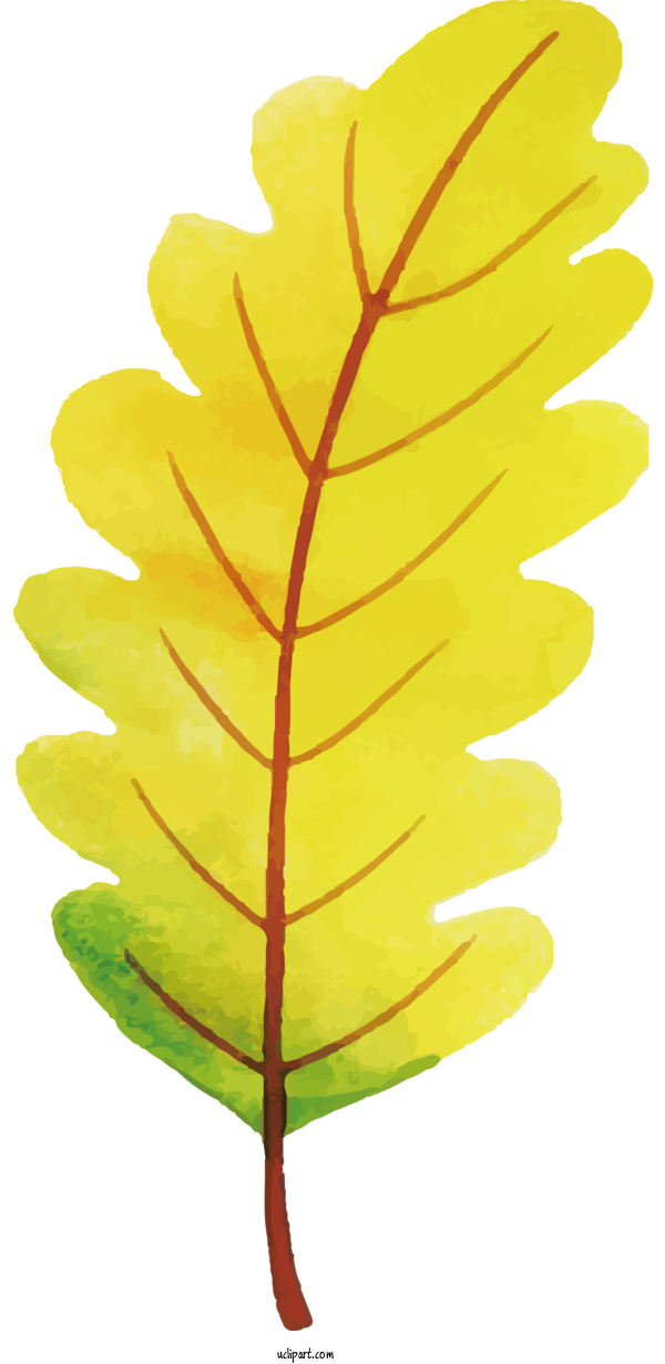 Free Nature Plant Stem Leaf Yellow For Leaf Clipart Transparent Background