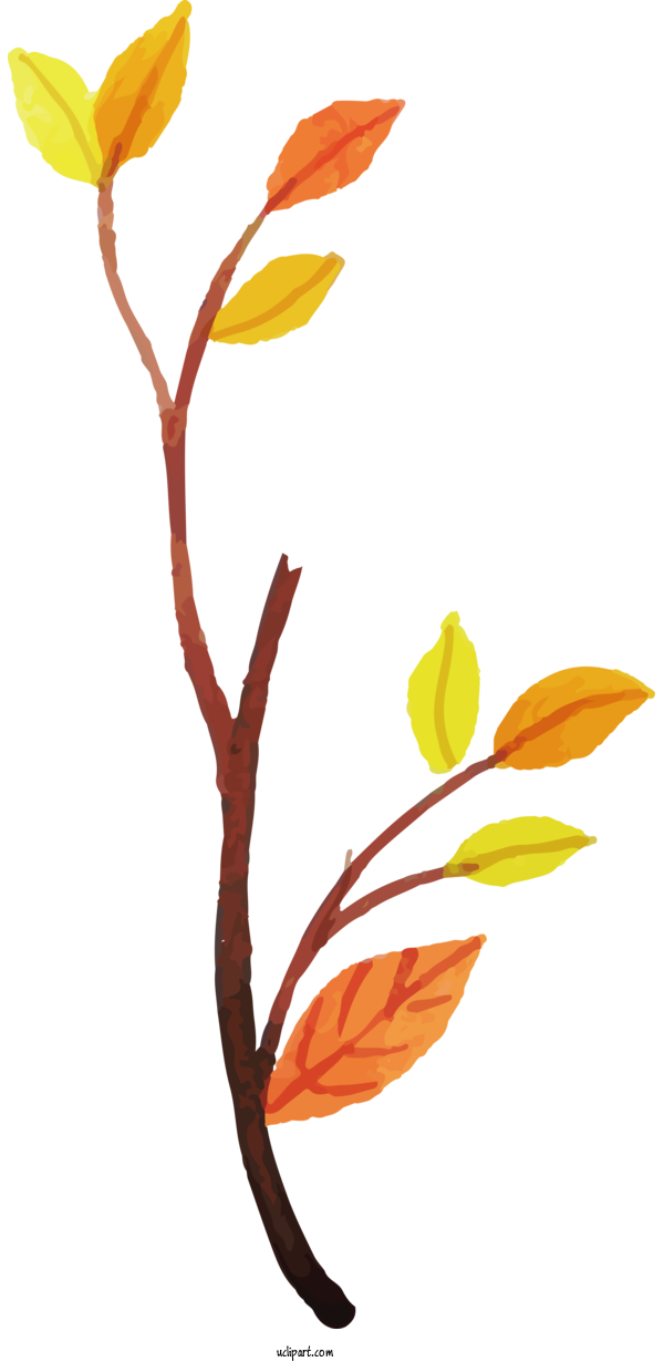 Free Nature Tulip Plant Stem Leaf For Leaf Clipart Transparent Background