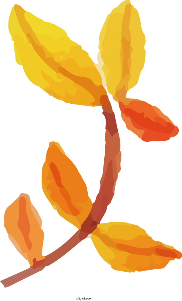 Free Nature Plant Stem Tulip Petal For Leaf Clipart Transparent Background