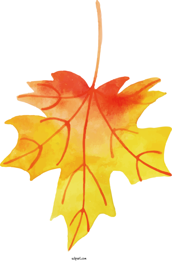 Free Nature Maple Leaf Leaf Petal For Leaf Clipart Transparent Background