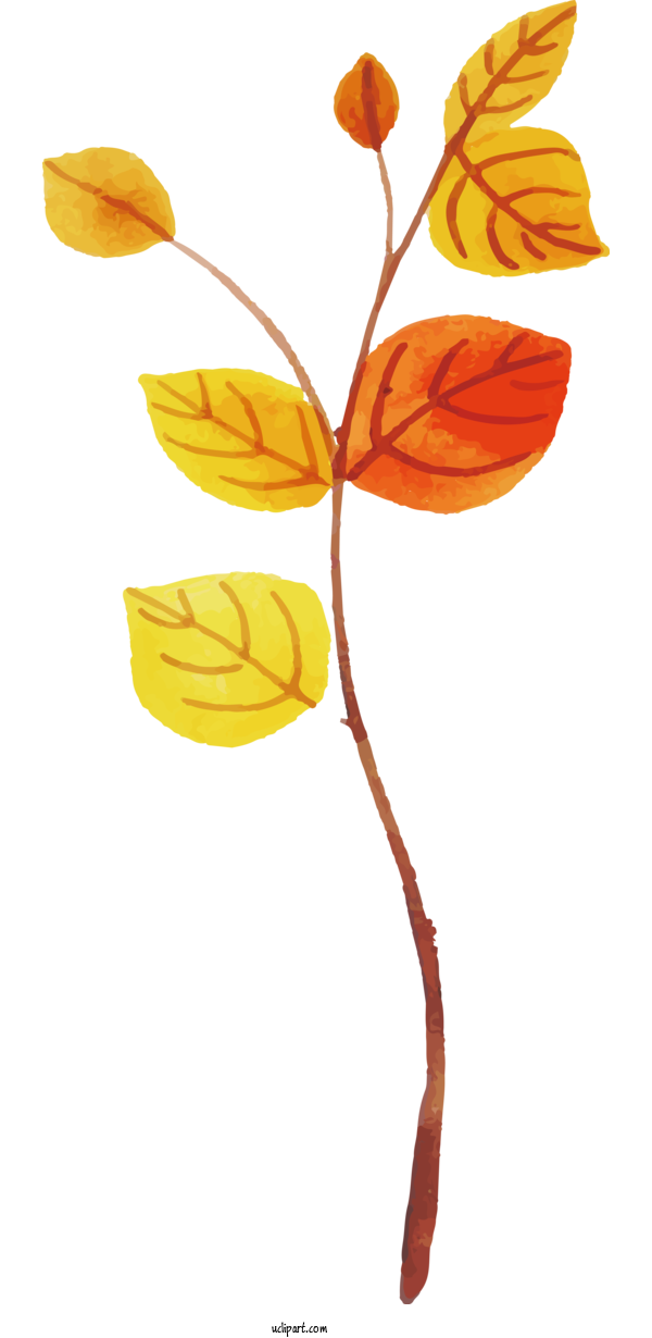 Free Nature Orange Leaf Petal For Leaf Clipart Transparent Background