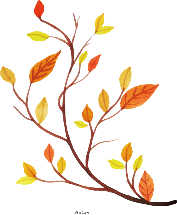 Free Nature Twig Plant Stem Floral Design For Leaf Clipart Transparent Background