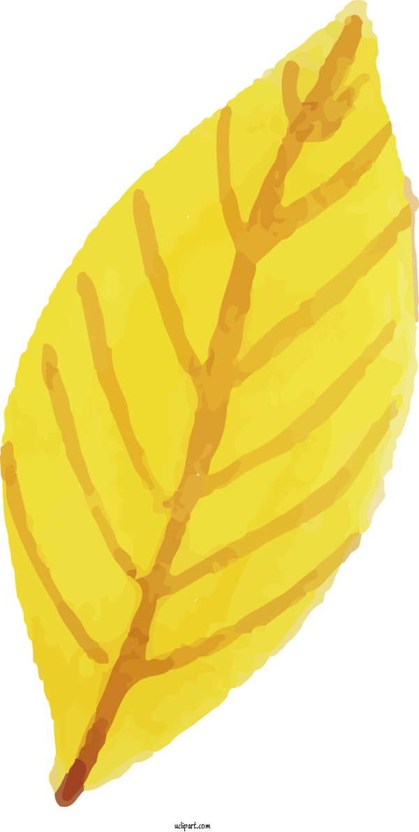 Free Nature Leaf Yellow Commodity For Leaf Clipart Transparent Background