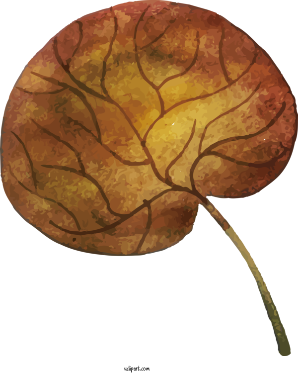 Free Nature Leaf Biology Plants For Leaf Clipart Transparent Background