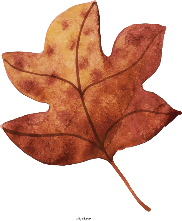 Free Nature Leaf Maple Leaf Maple For Leaf Clipart Transparent Background
