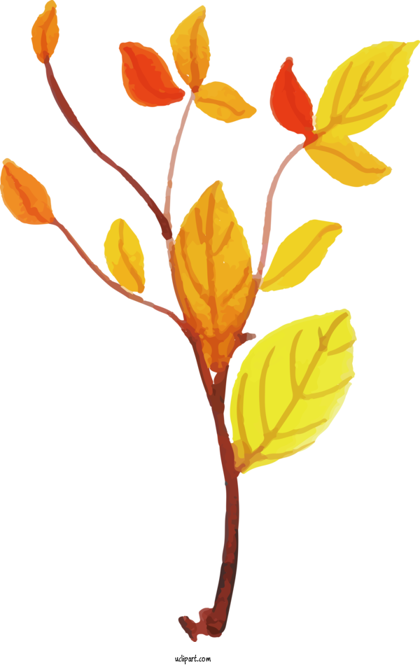 Free Nature Tulip Plant Stem Cut Flowers For Leaf Clipart Transparent Background