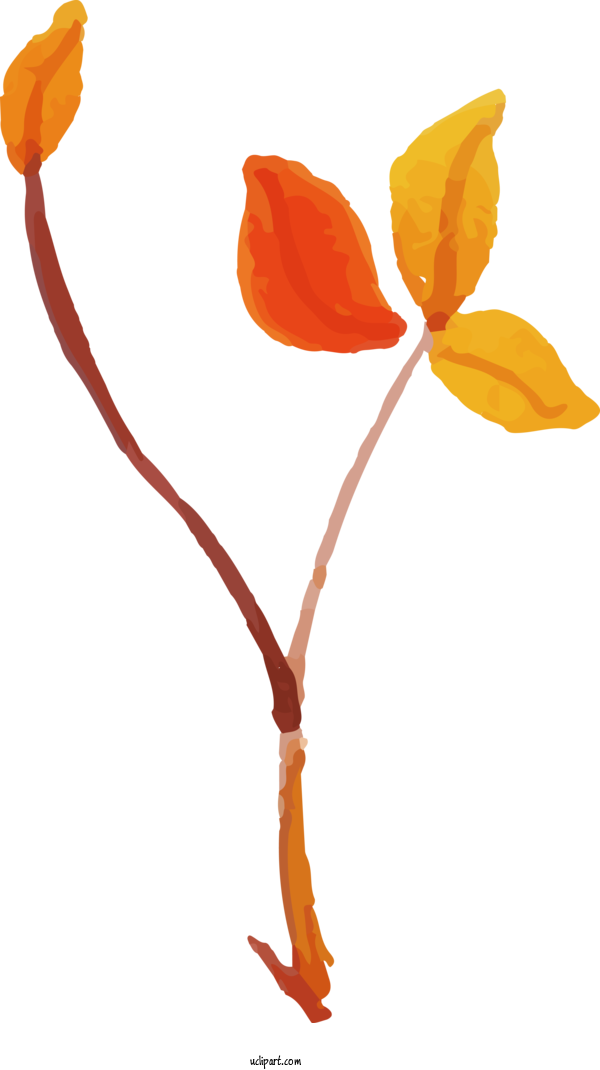 Free Nature Tulip Plant Stem Leaf For Leaf Clipart Transparent Background