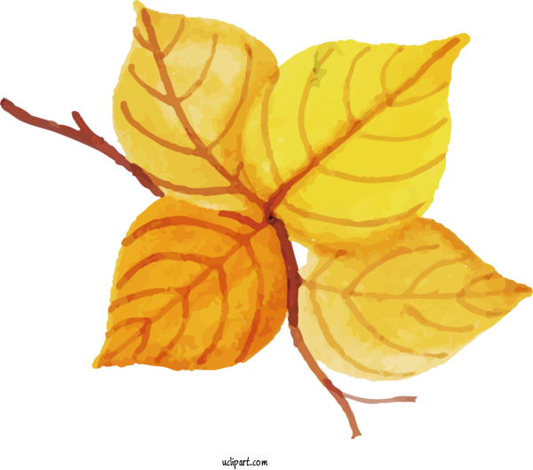 Free Nature Leaf Petal Yellow For Leaf Clipart Transparent Background