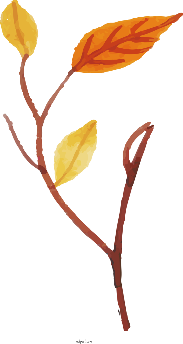 Free Nature Twig Plant Stem Leaf For Leaf Clipart Transparent Background