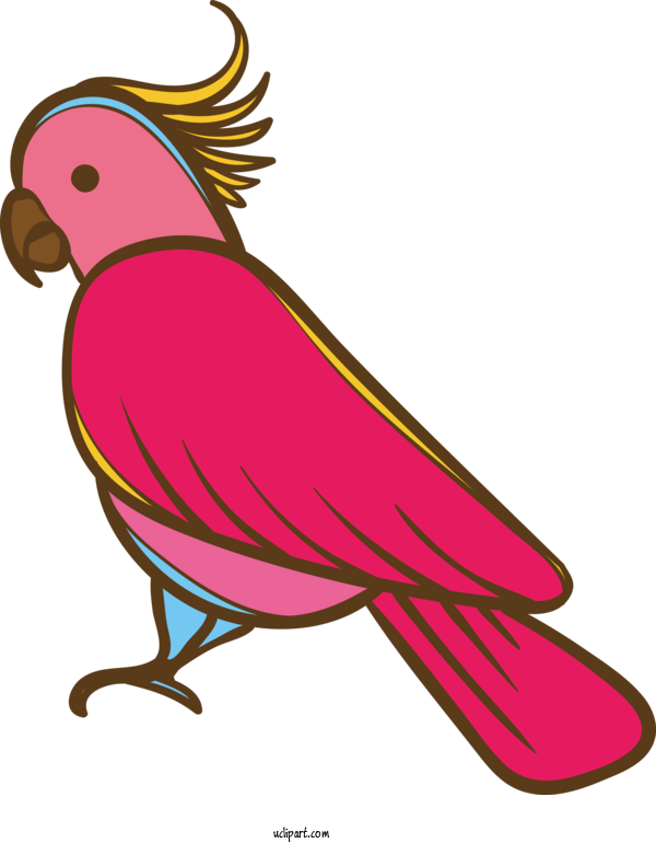 Free Animals Macaw Design Beak For Bird Clipart Transparent Background