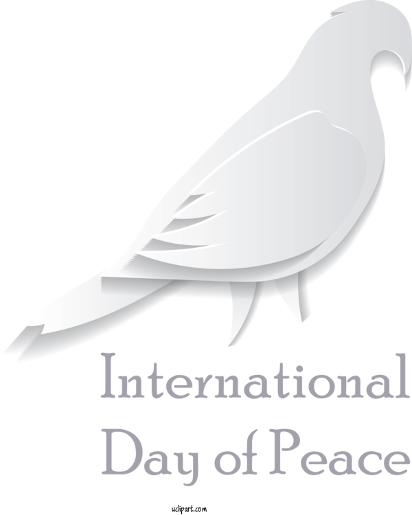 Free Holidays Feather Meter Beak For World Peace Day Clipart Transparent Background