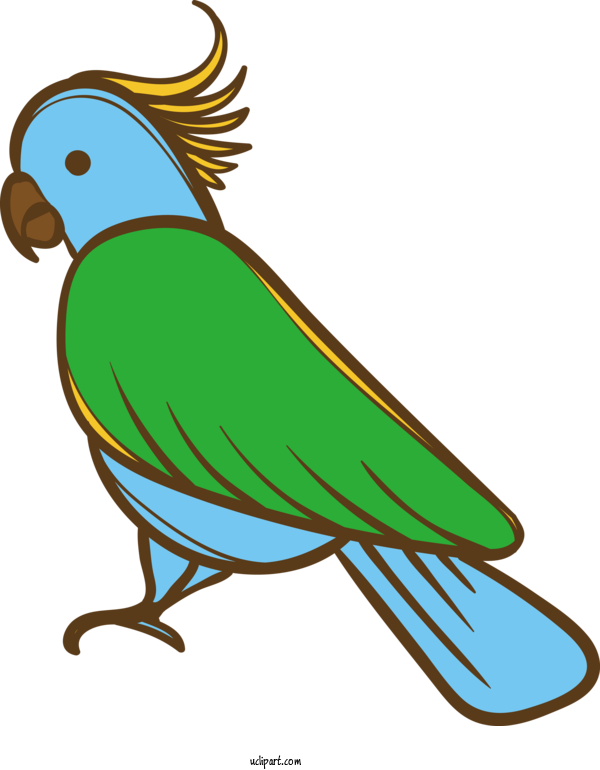 Free Animals Design Macaw Cartoon For Bird Clipart Transparent Background