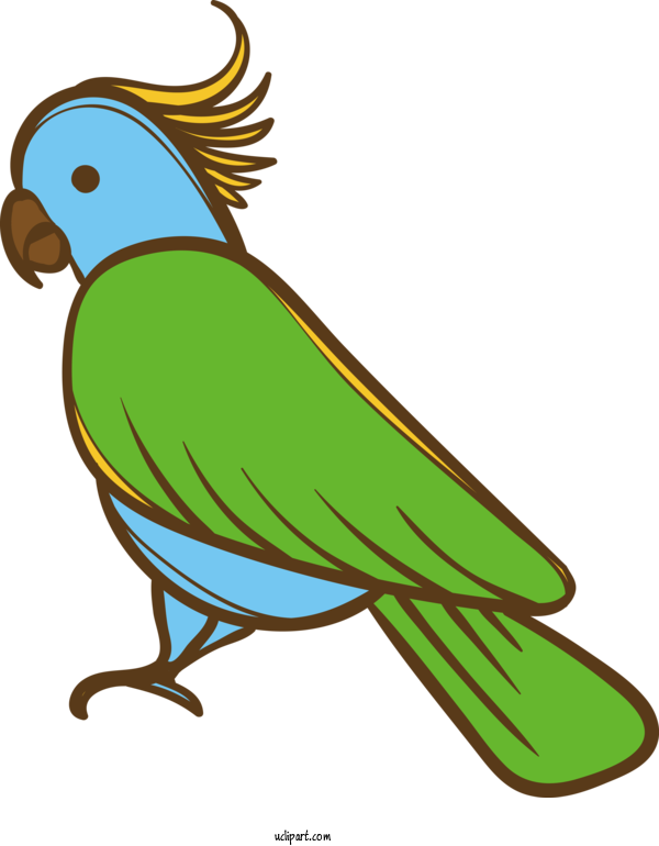 Free Animals Macaw Design Cartoon For Bird Clipart Transparent Background