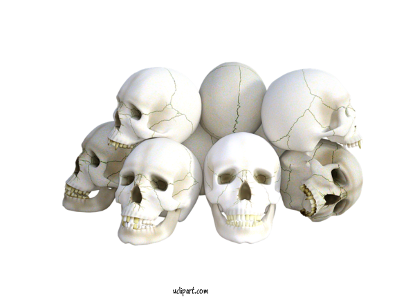 Free Holidays Human Skull Skeleton Human Brain For Halloween Clipart Transparent Background