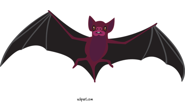 Free Holidays Bats Line Art Cartoon For Halloween Clipart Transparent Background