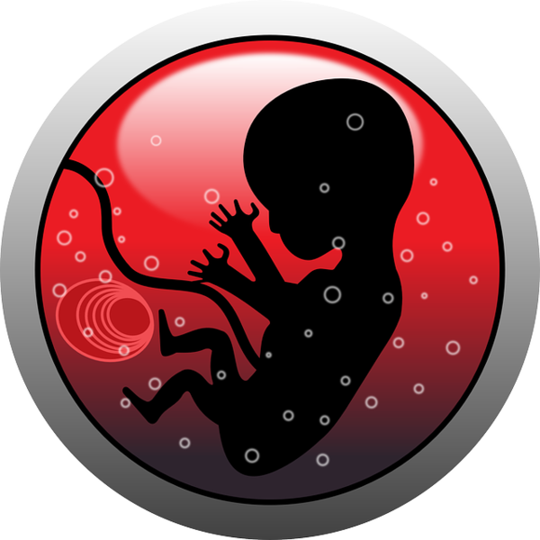 Free Pregnancy Octopus Clipart Clipart Transparent Background