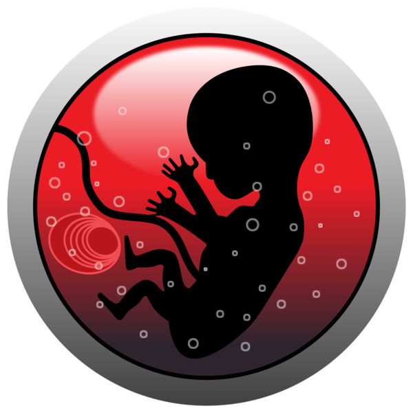 Free Pregnancy Octopus Clipart Clipart Transparent Background