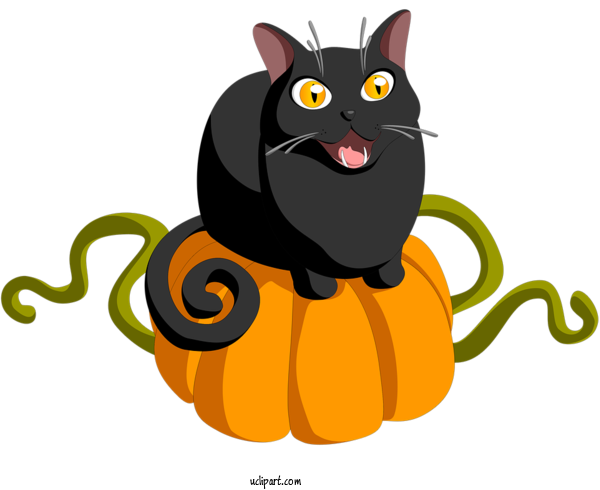 Free Holidays Cat Black Cat Cartoon For Halloween Clipart Transparent Background