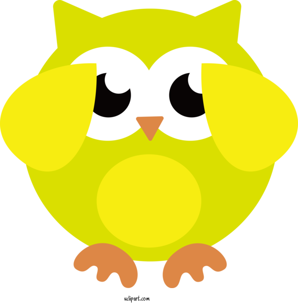 Free Animals Beak Birds Cartoon For Owl Clipart Transparent Background