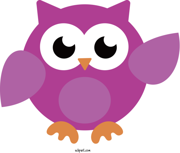 Free Animals Snout Birds Cartoon For Owl Clipart Transparent Background