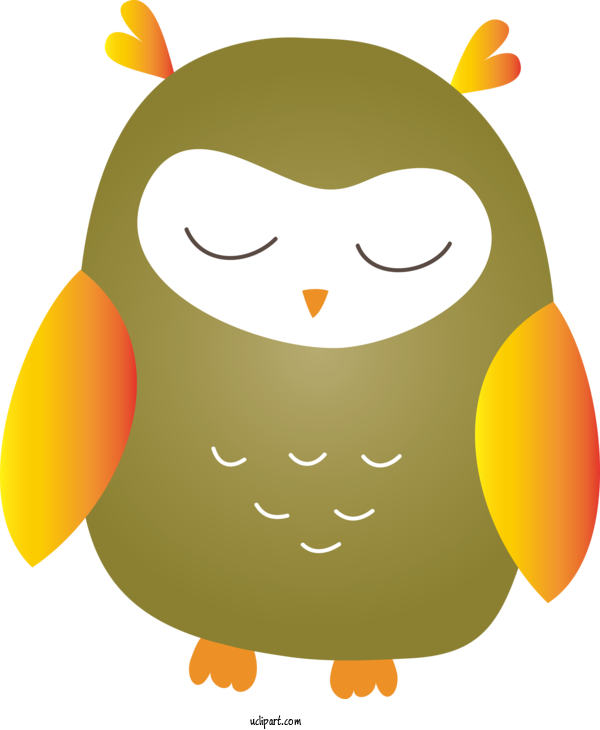 Free Animals Birds Beak Cartoon For Owl Clipart Transparent Background