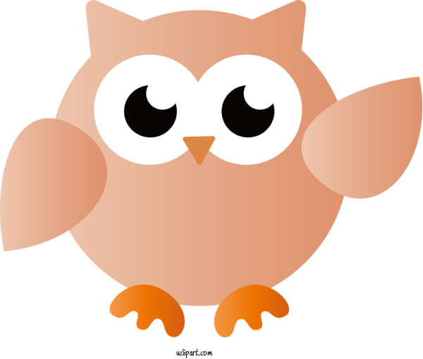 Free Animals Snout Beak Birds For Owl Clipart Transparent Background