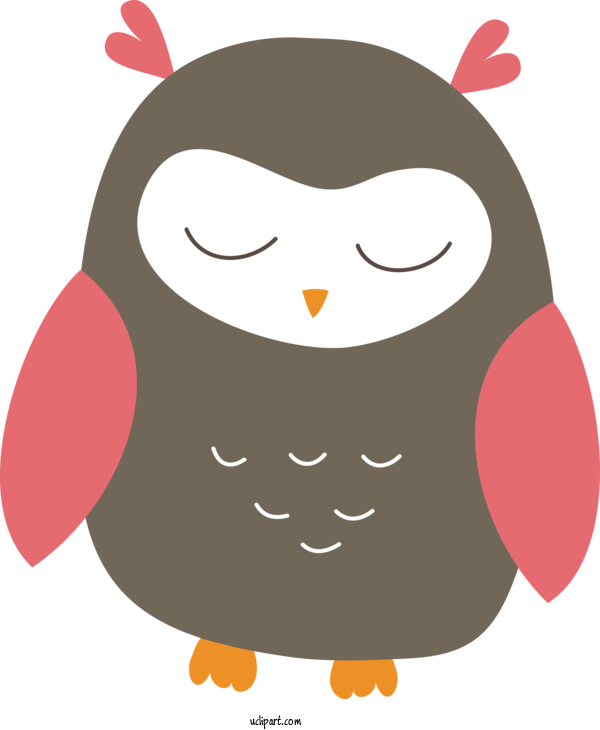 Free Animals Birds Cartoon Beak For Owl Clipart Transparent Background