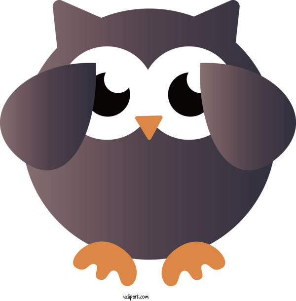Free Animals Birds Snout Beak For Owl Clipart Transparent Background