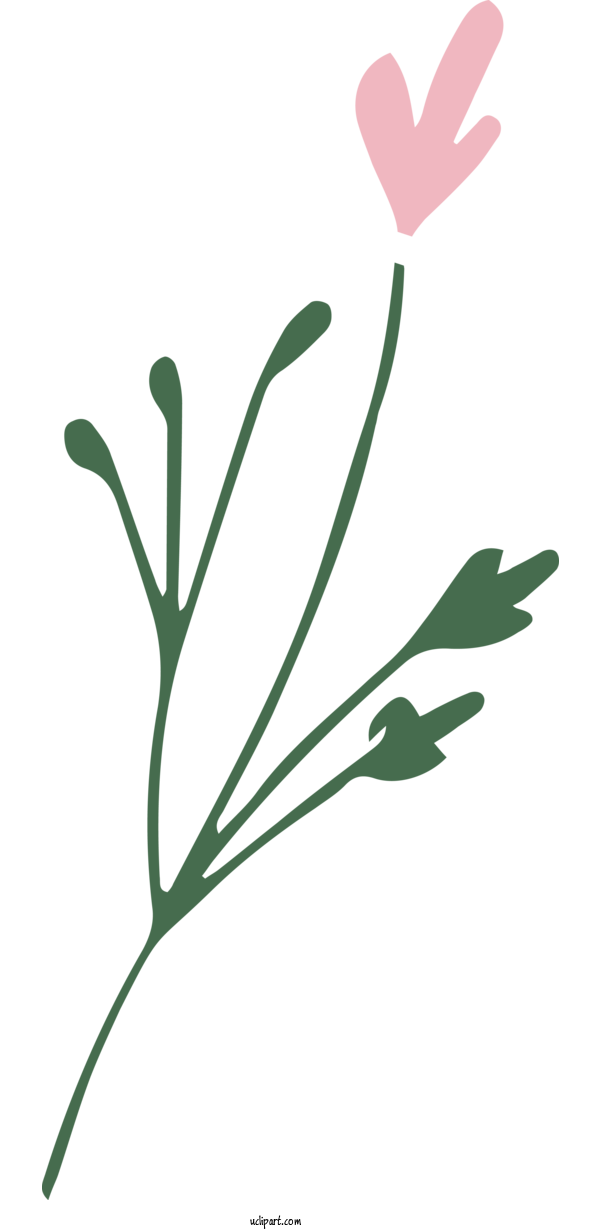 Free Nature Flower Plant Stem Twig For Leaf Clipart Transparent Background