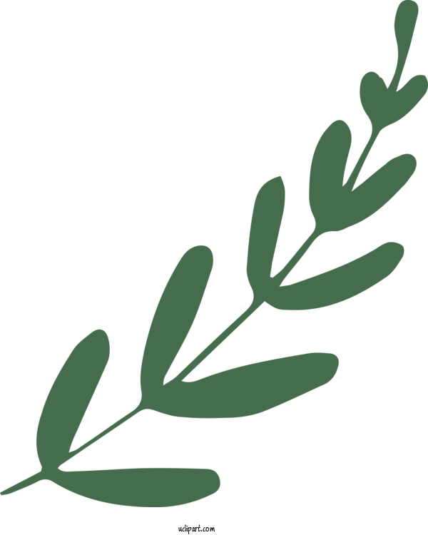 Free Nature Leaf Plant Stem Tree For Leaf Clipart Transparent Background