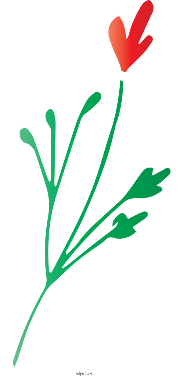 Free Nature Flower Plant Stem Petal For Leaf Clipart Transparent Background