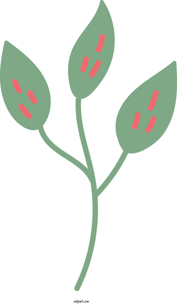 Free Nature Leaf Plant Stem Logo For Leaf Clipart Transparent Background