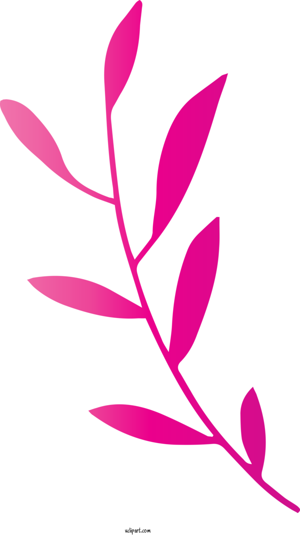 Free Nature Flower Plant Stem Design For Leaf Clipart Transparent Background