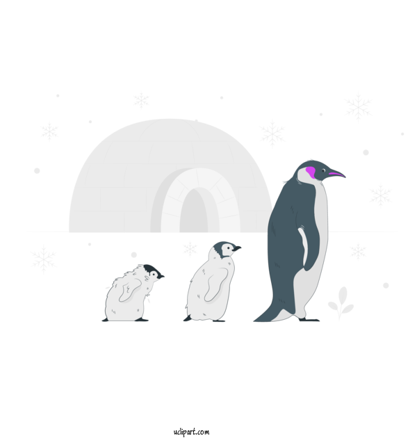 Free People Penguins Royal Penguin Drawing For Family Clipart Transparent Background