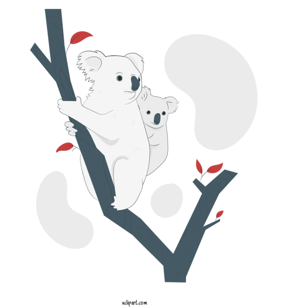Free People Koala Cartoon Sloths For Family Clipart Transparent Background